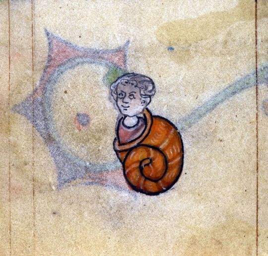 snail